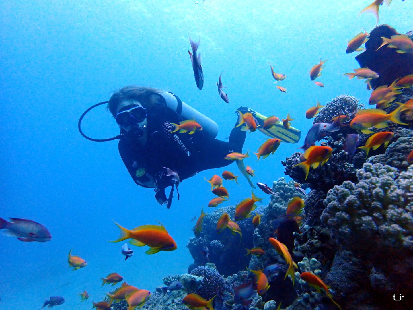 Iretskaia diving.jpg